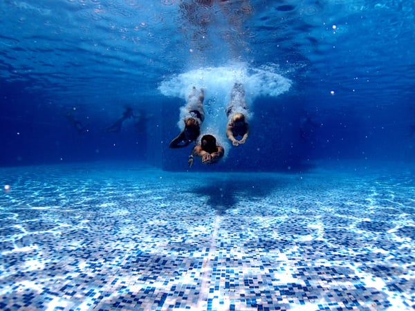 People diving into a swimming pool